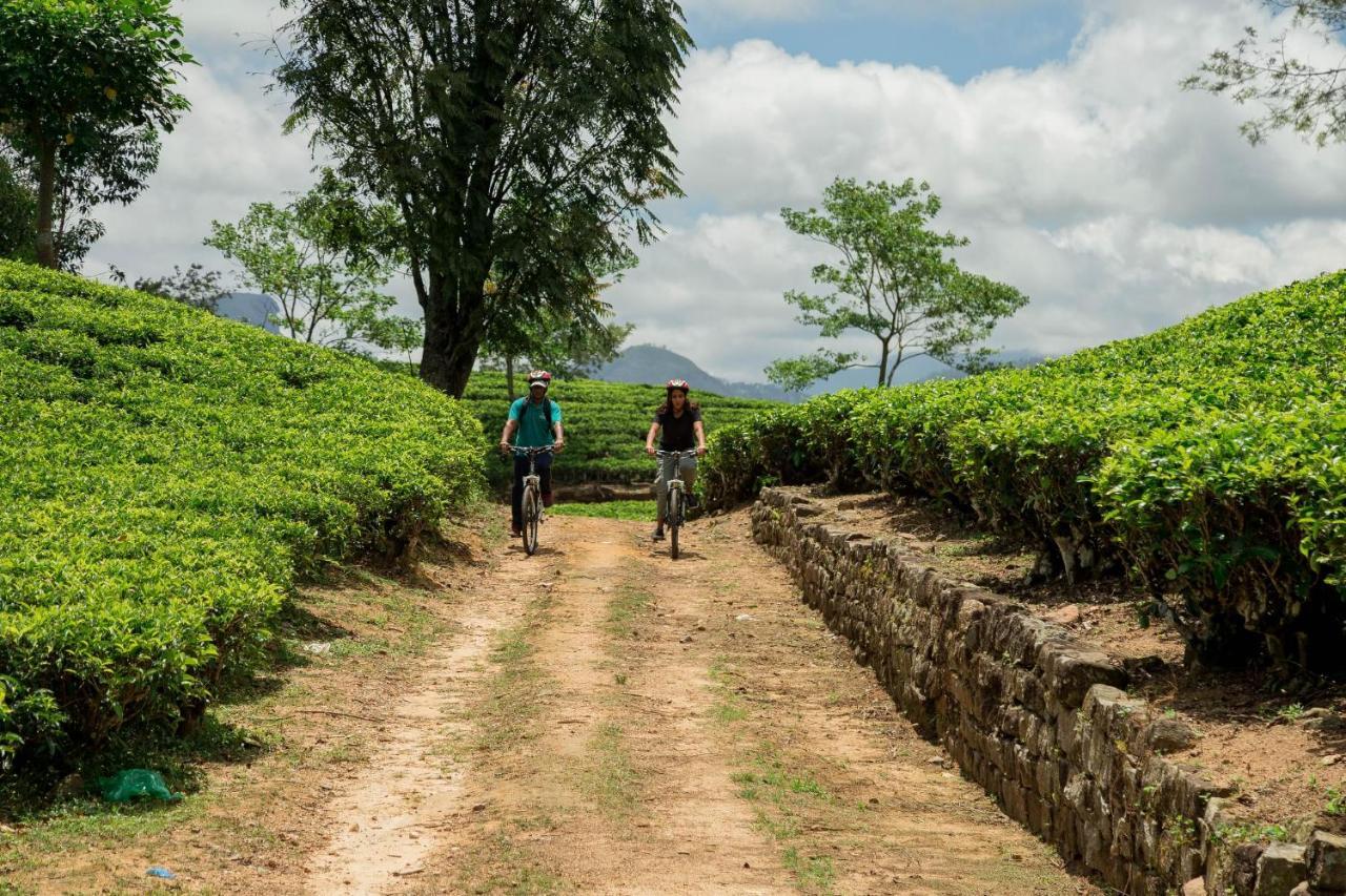 Ceylon Tea Trails - Relais And Chateaux Hatton Exterior foto